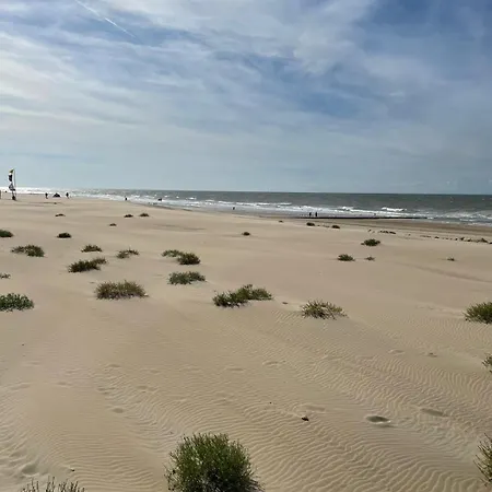 Ground Floor Sea View Apartment In Raversijde, Oostende *