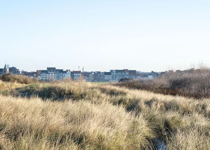 Ground Floor Sea View Raversijde Lets Go Getaways Ostend